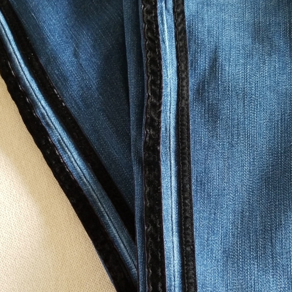 Ann Taylor Skinny Denim Velvet Stripe - Picture 4 of 5